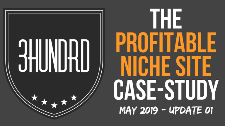 profitable niche site case study update 01
