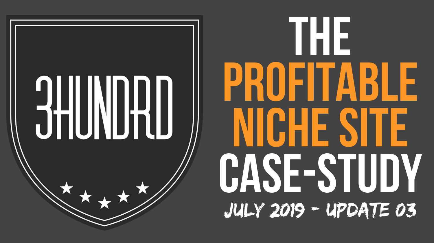 profitable niche site case study update 3