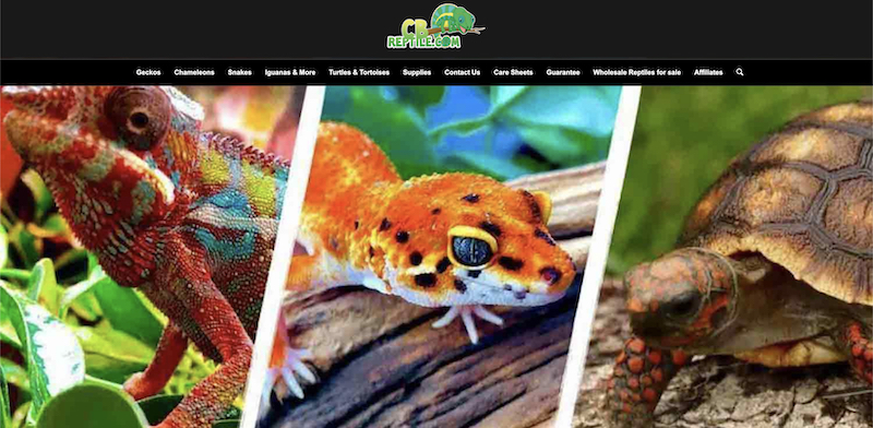 cb reptile affiliate program