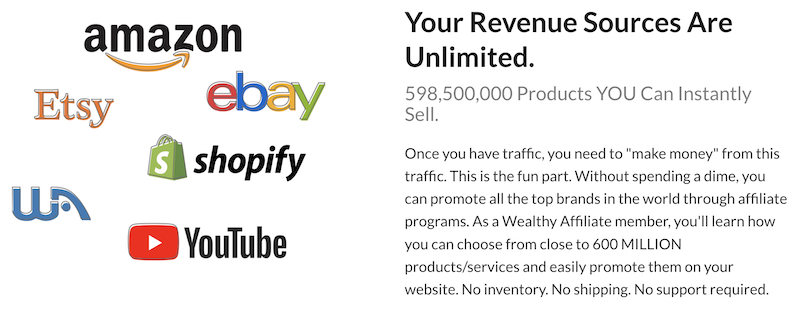 promote any product with wealthy affiliate