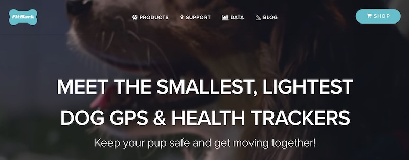 fitbark affiliate program