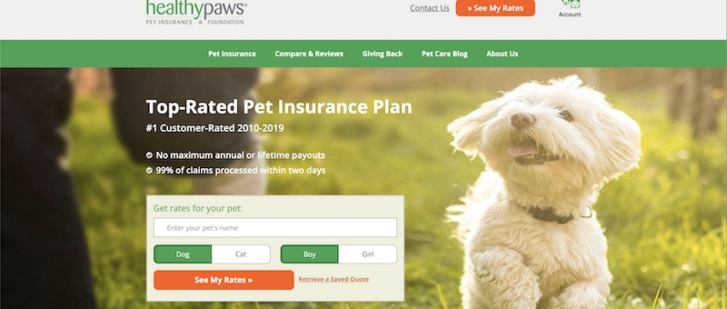 healthypaws affiliate program