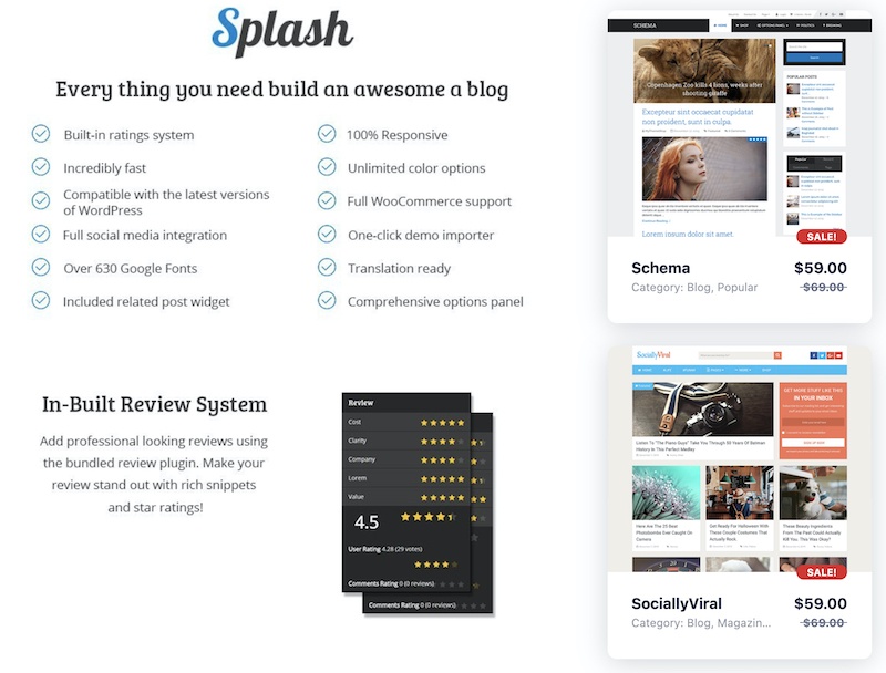 splash wordpress themes